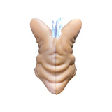 skinby cross section plastic sculpture