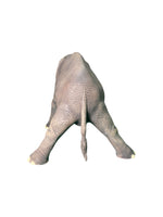 baby elephant plastic sculpture
