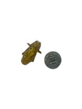 "cicada shell" pin