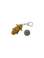 "cicada shell" keychain