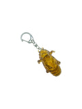 "cicada shell" keychain