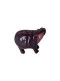 misprinted hippo 2