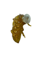 "cicada shell" sandal charm