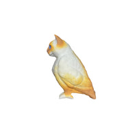 cat bird