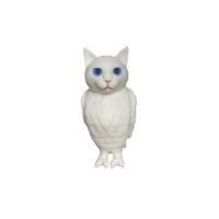 cat bird
