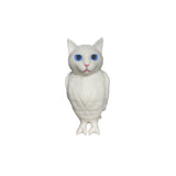 cat bird