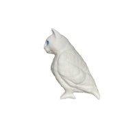 cat bird