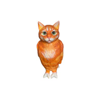 cat bird
