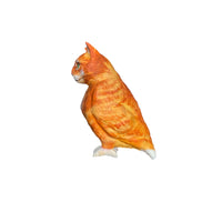 cat bird