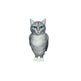 cat bird