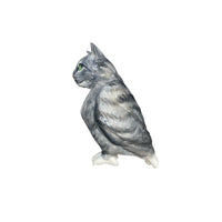 cat bird