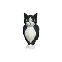 cat bird