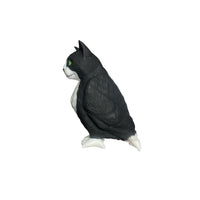 cat bird