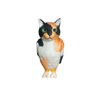 cat bird
