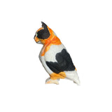 cat bird