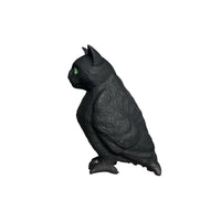 cat bird
