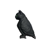 cat bird