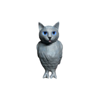 cat bird