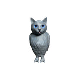 cat bird