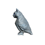 cat bird