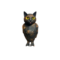 cat bird