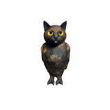 cat bird