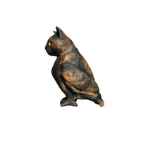 cat bird