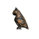 cat bird