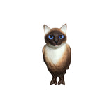 cat bird