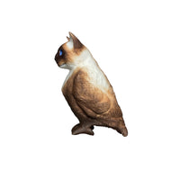 cat bird