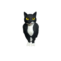 cat bird