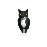cat bird