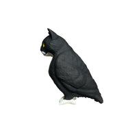 cat bird