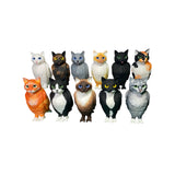 cat bird