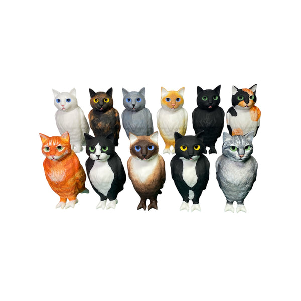 cat bird