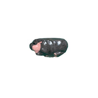 misprinted hippo 4