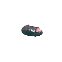 misprinted hippo 4