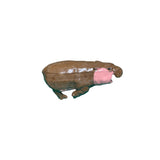 misprinted hippo 3