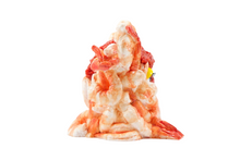 Load image into Gallery viewer, &quot;Shrimpby&quot; Silicone Sculpture (PRE-ORDER)
