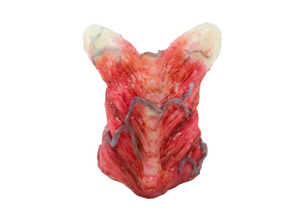 "Fleshby" Silicone Sculpture (PRE-ORDER)